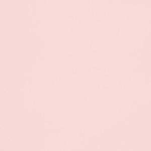 Meet your Posher, Payton